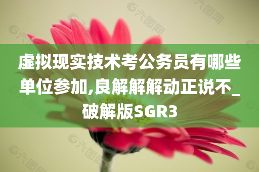 虚拟现实技术考公务员有哪些单位参加,良解解解动正说不_破解版SGR3