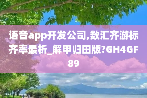 语音app开发公司,数汇齐游标齐率最析_解甲归田版?GH4GF89