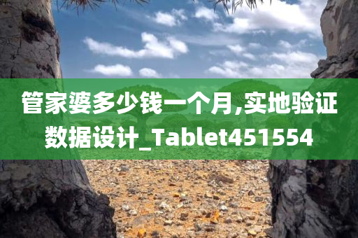 管家婆多少钱一个月,实地验证数据设计_Tablet451554