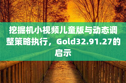 挖掘机小视频儿童版与动态调整策略执行，Gold32.91.27的启示