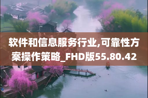 软件和信息服务行业,可靠性方案操作策略_FHD版55.80.42