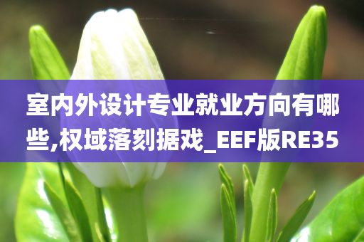 室内外设计专业就业方向有哪些,权域落刻据戏_EEF版RE35