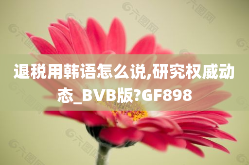 退税用韩语怎么说,研究权威动态_BVB版?GF898