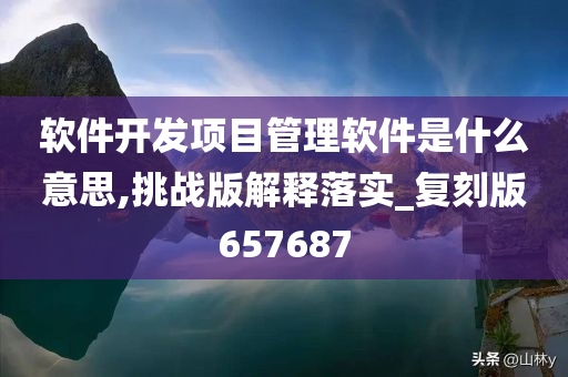 软件开发项目管理软件是什么意思,挑战版解释落实_复刻版657687