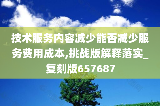 技术服务内容减少能否减少服务费用成本,挑战版解释落实_复刻版657687