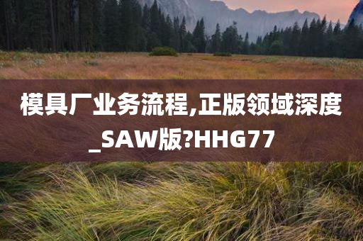 模具厂业务流程,正版领域深度_SAW版?HHG77