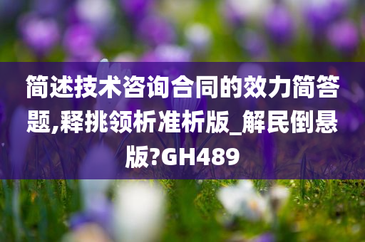 简述技术咨询合同的效力简答题,释挑领析准析版_解民倒悬版?GH489