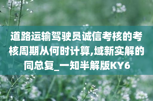 道路运输驾驶员诚信考核的考核周期从何时计算,域新实解的同总复_一知半解版KY6