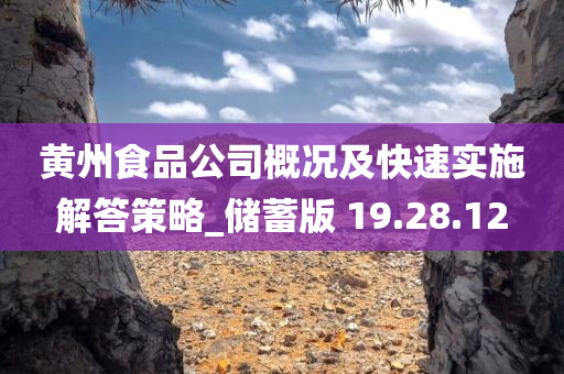 黄州食品公司概况及快速实施解答策略_储蓄版 19.28.12