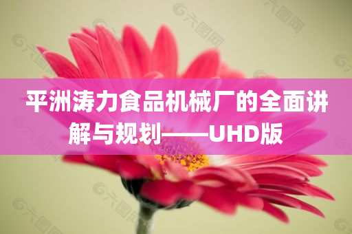 平洲涛力食品机械厂的全面讲解与规划——UHD版