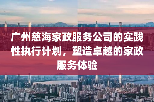 广州慈海家政服务公司的实践性执行计划，塑造卓越的家政服务体验