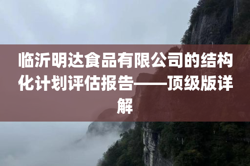 临沂明达食品有限公司的结构化计划评估报告——顶级版详解