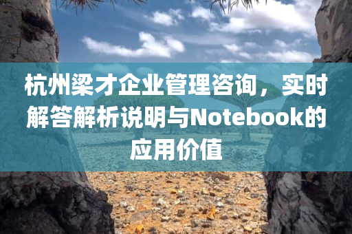 杭州梁才企业管理咨询，实时解答解析说明与Notebook的应用价值