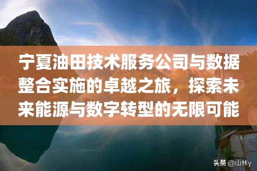 宁夏油田技术服务公司与数据整合实施的卓越之旅，探索未来能源与数字转型的无限可能