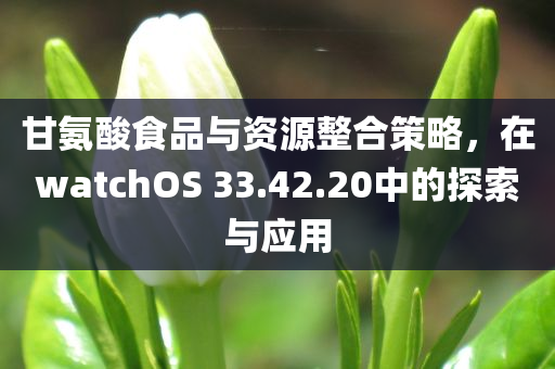 甘氨酸食品与资源整合策略，在watchOS 33.42.20中的探索与应用