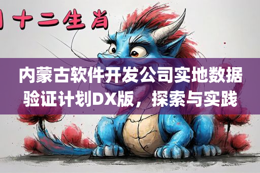 内蒙古软件开发公司实地数据验证计划DX版，探索与实践