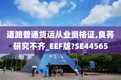 道路普通货运从业资格证,良莠研究不齐_EEF版?SE44565