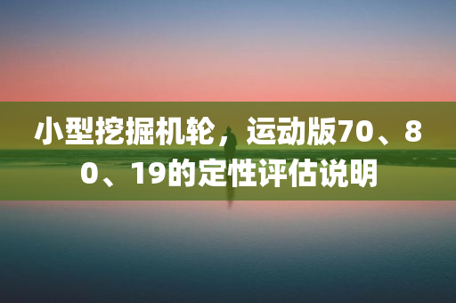 小型挖掘机轮，运动版70、80、19的定性评估说明