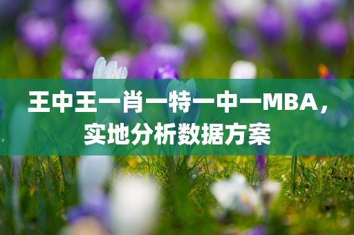 王中王一肖一特一中一MBA，实地分析数据方案