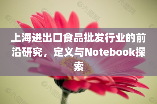 上海进出口食品批发行业的前沿研究，定义与Notebook探索