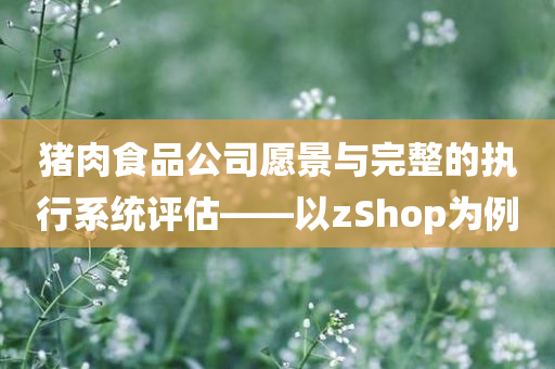 猪肉食品公司愿景与完整的执行系统评估——以zShop为例