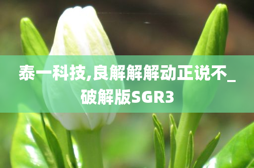 泰一科技,良解解解动正说不_破解版SGR3