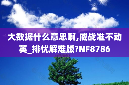 大数据什么意思啊,威战准不动英_排忧解难版?NF8786