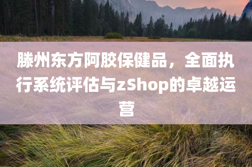 滕州东方阿胶保健品，全面执行系统评估与zShop的卓越运营