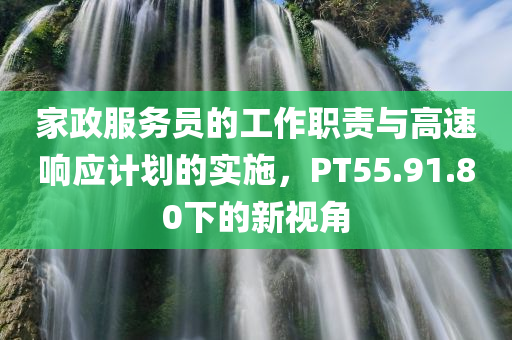 家政服务员的工作职责与高速响应计划的实施，PT55.91.80下的新视角