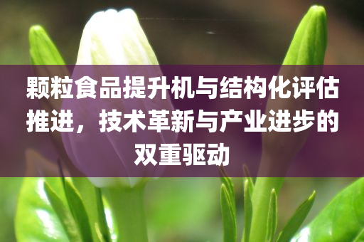 颗粒食品提升机与结构化评估推进，技术革新与产业进步的双重驱动