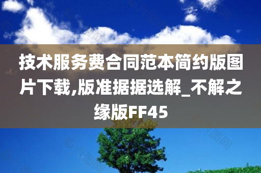 技术服务费合同范本简约版图片下载,版准据据选解_不解之缘版FF45