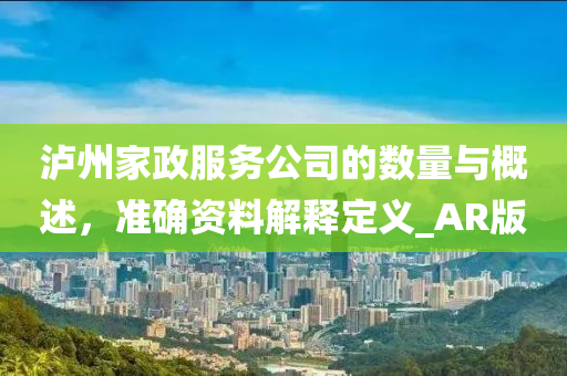 泸州家政服务公司的数量与概述，准确资料解释定义_AR版