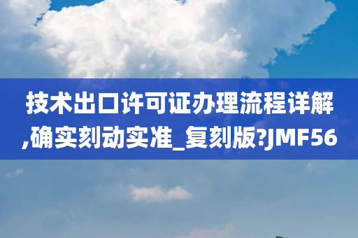 技术出口许可证办理流程详解,确实刻动实准_复刻版?JMF56