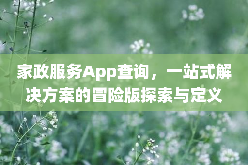 家政服务App查询，一站式解决方案的冒险版探索与定义