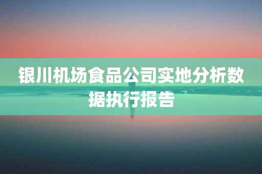 银川机场食品公司实地分析数据执行报告