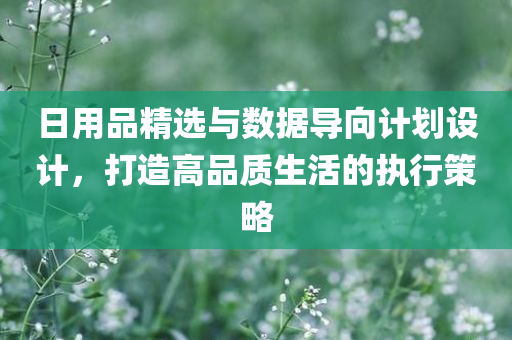 日用品精选与数据导向计划设计，打造高品质生活的执行策略