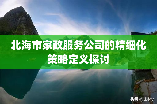 北海市家政服务公司的精细化策略定义探讨