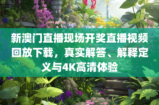 新澳门直播现场开奖直播视频回放下载，真实解答、解释定义与4K高清体验