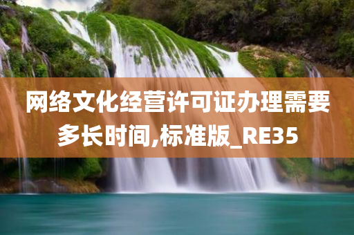 网络文化经营许可证办理需要多长时间,标准版_RE35