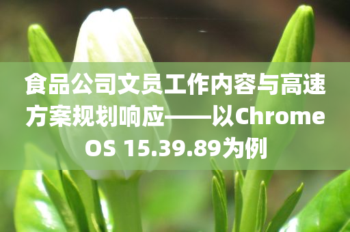 食品公司文员工作内容与高速方案规划响应——以ChromeOS 15.39.89为例