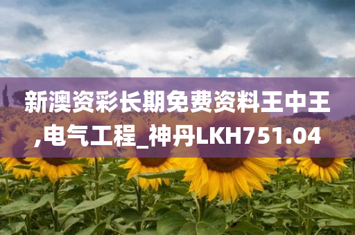 新澳资彩长期免费资料王中王,电气工程_神丹LKH751.04