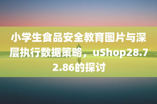 小学生食品安全教育图片与深层执行数据策略，uShop28.72.86的探讨