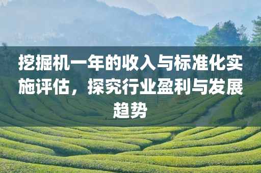 挖掘机一年的收入与标准化实施评估，探究行业盈利与发展趋势