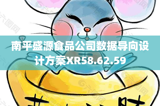 南平盛源食品公司数据导向设计方案XR58.62.59