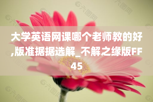 大学英语网课哪个老师教的好,版准据据选解_不解之缘版FF45