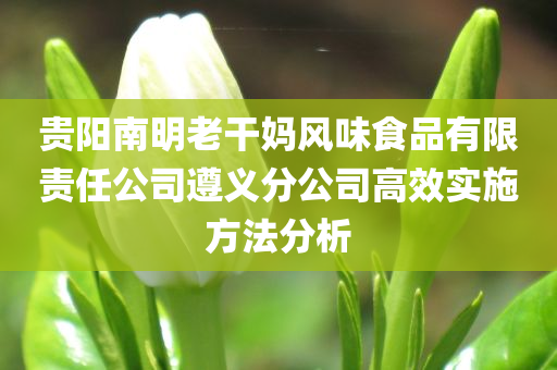 贵阳南明老干妈风味食品有限责任公司遵义分公司高效实施方法分析