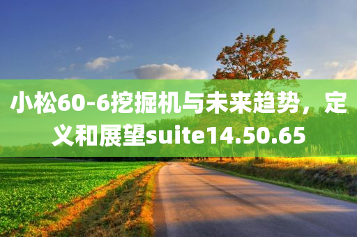 小松60-6挖掘机与未来趋势，定义和展望suite14.50.65